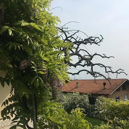 Weiss Apartman Riva del Garda